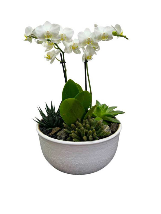 Coupe composée de plantes vertes